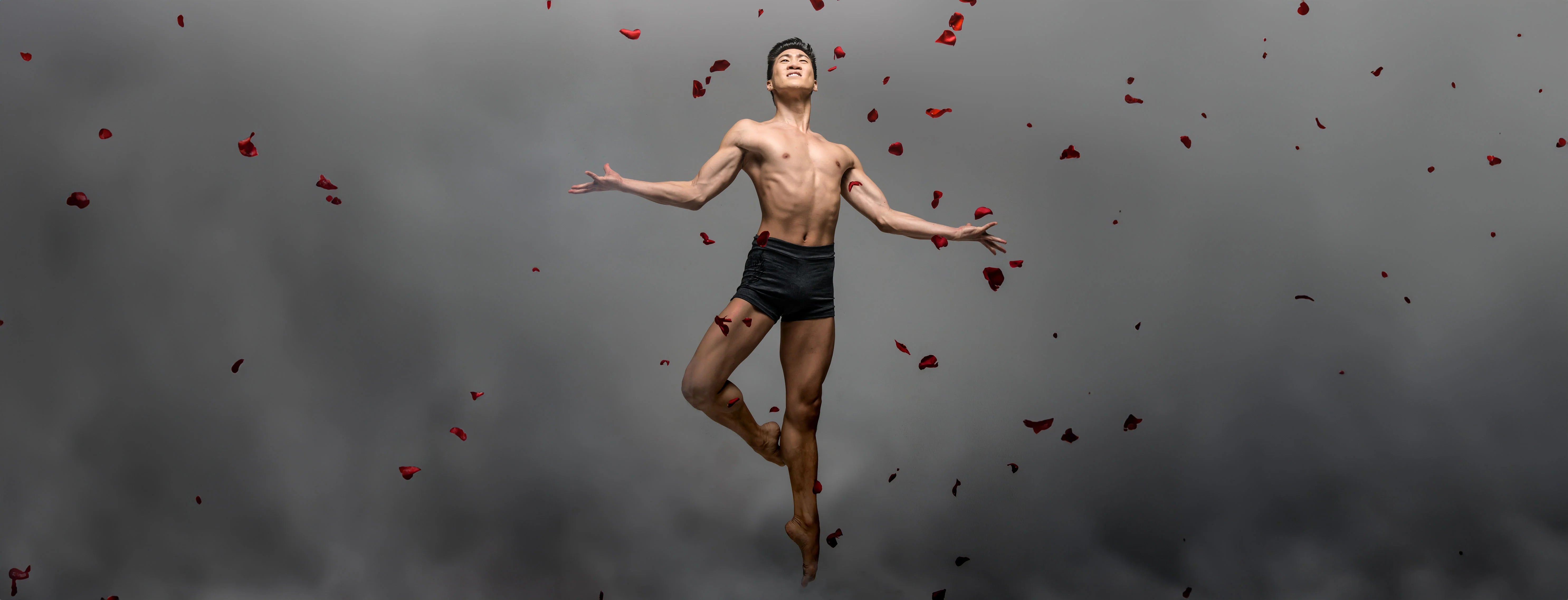 Collections – Ballet Rosa