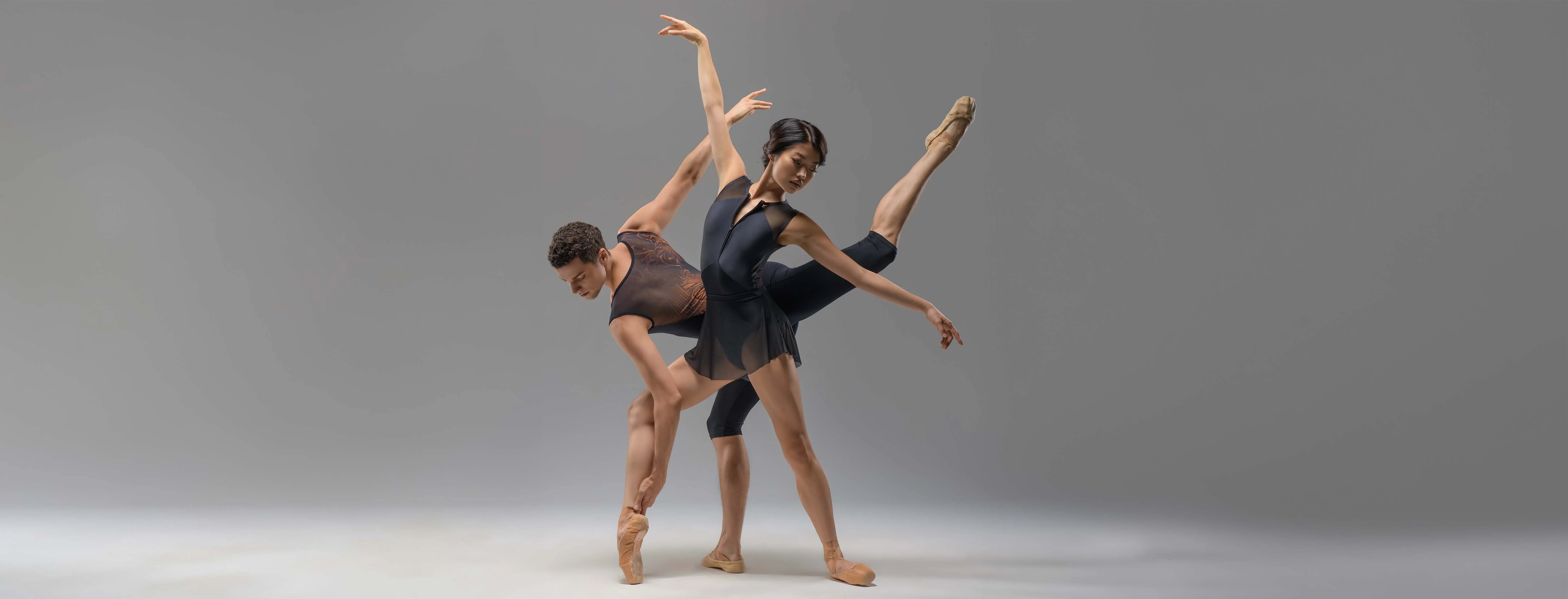 Products – Ballet Rosa