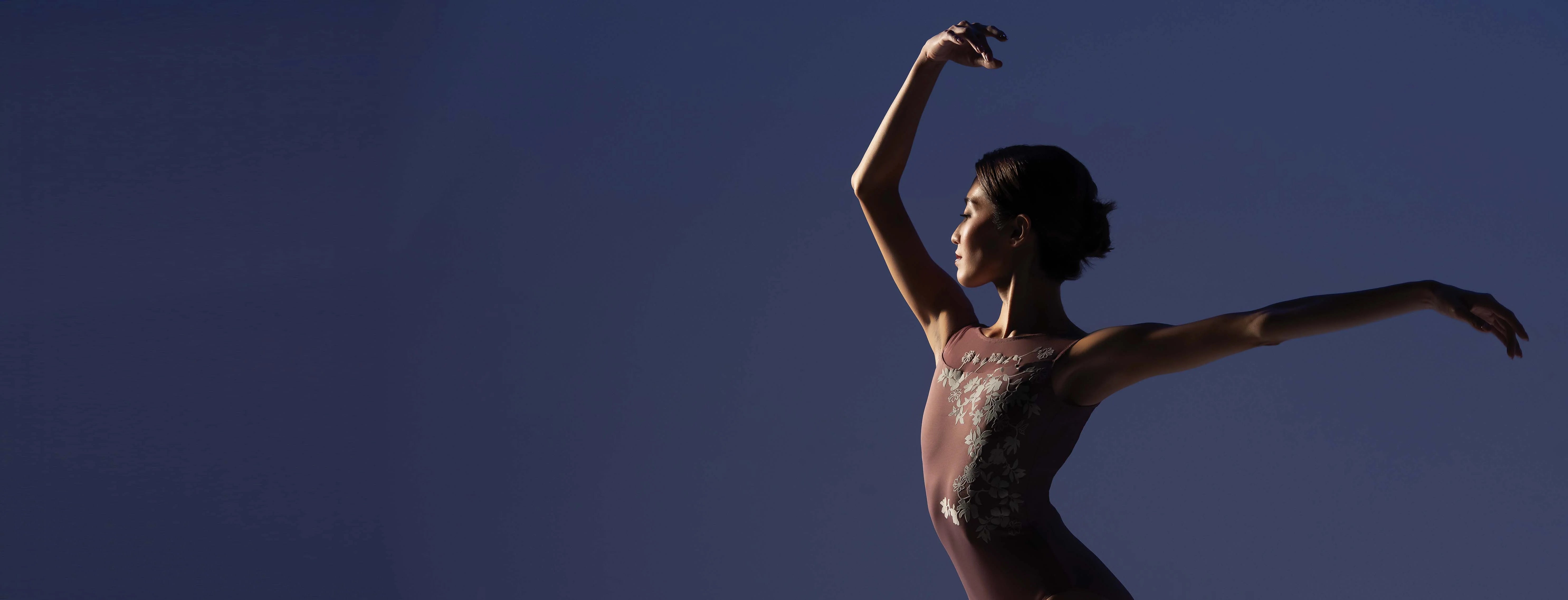 Products – Ballet Rosa